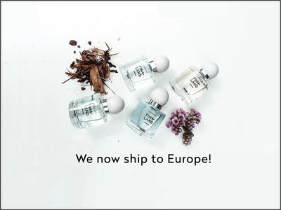 We are glad to inform that we now offer shipment of our products to countries in Europe.